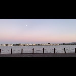 Meet your Posher, Iris